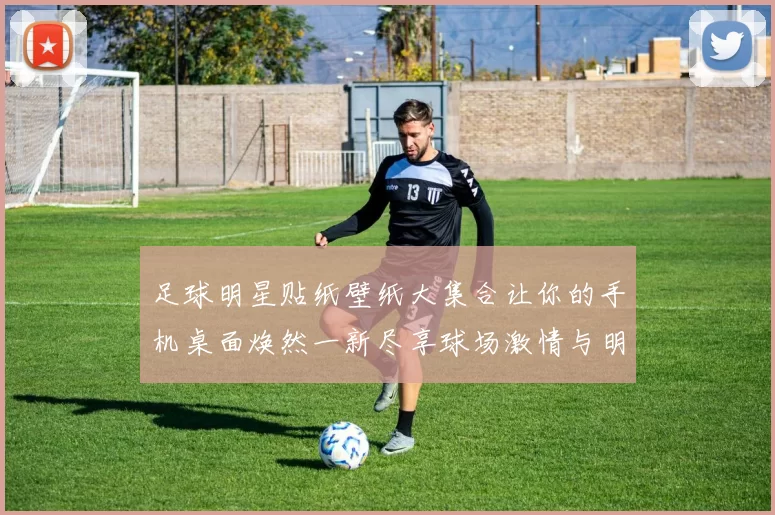 足球明星贴纸壁纸大集合让你的手机桌面焕然一新尽享球场激情与明星魅力