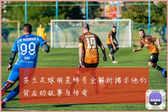 芬兰足球明星绰号全解析揭示他们背后的故事与传奇